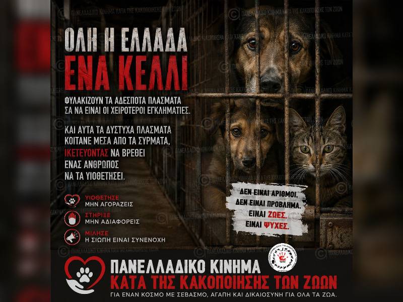 Κακοποίηση ζώων και ακτιβισμός - Η αδέσμευτη φωνή των τετράποδων