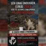 Κακοποίηση ζώων και ακτιβισμός - Η αδέσμευτη φωνή των τετράποδων