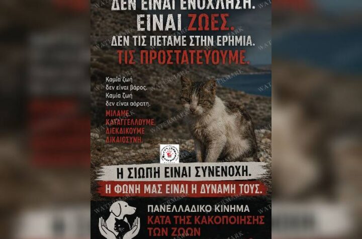 Κακοποίηση ζώων και ακτιβισμός - Η αδέσμευτη φωνή των τετράποδων