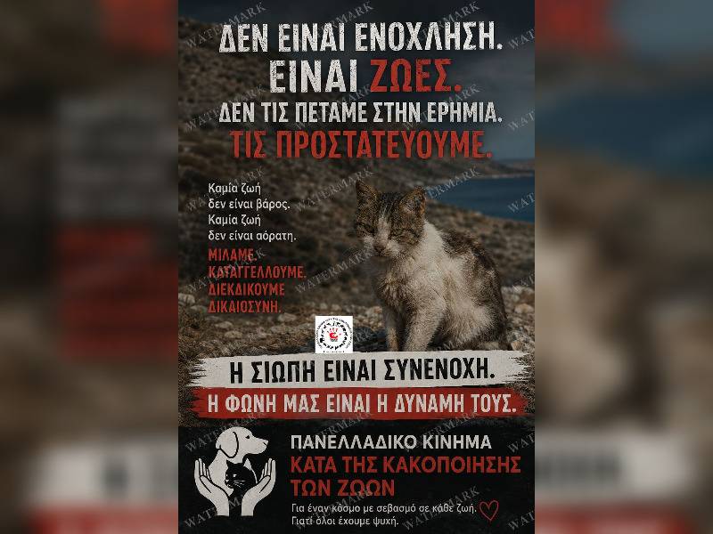 Κακοποίηση ζώων και ακτιβισμός - Η αδέσμευτη φωνή των τετράποδων