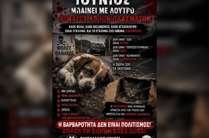 Κακοποίηση ζώων και ακτιβισμός - Η αδέσμευτη φωνή των τετράποδων