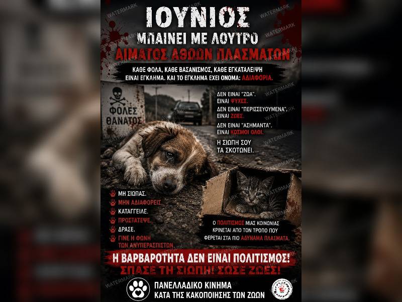 Κακοποίηση ζώων και ακτιβισμός - Η αδέσμευτη φωνή των τετράποδων