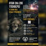 Κακοποίηση ζώων και ακτιβισμός - Η αδέσμευτη φωνή των τετράποδων