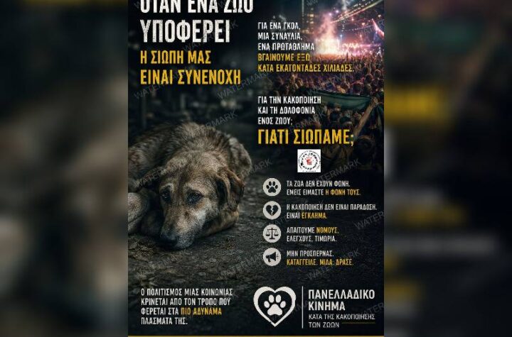 Κακοποίηση ζώων και ακτιβισμός - Η αδέσμευτη φωνή των τετράποδων