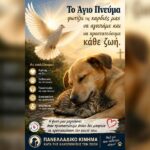 Κακοποίηση ζώων και ακτιβισμός - Η αδέσμευτη φωνή των τετράποδων