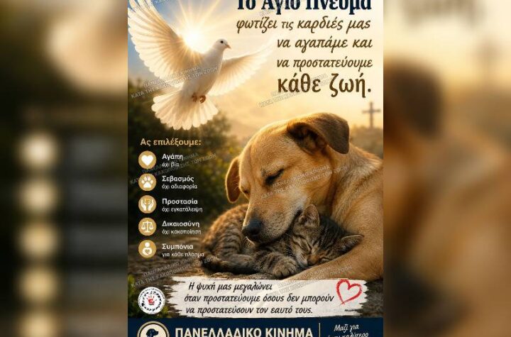 Κακοποίηση ζώων και ακτιβισμός - Η αδέσμευτη φωνή των τετράποδων