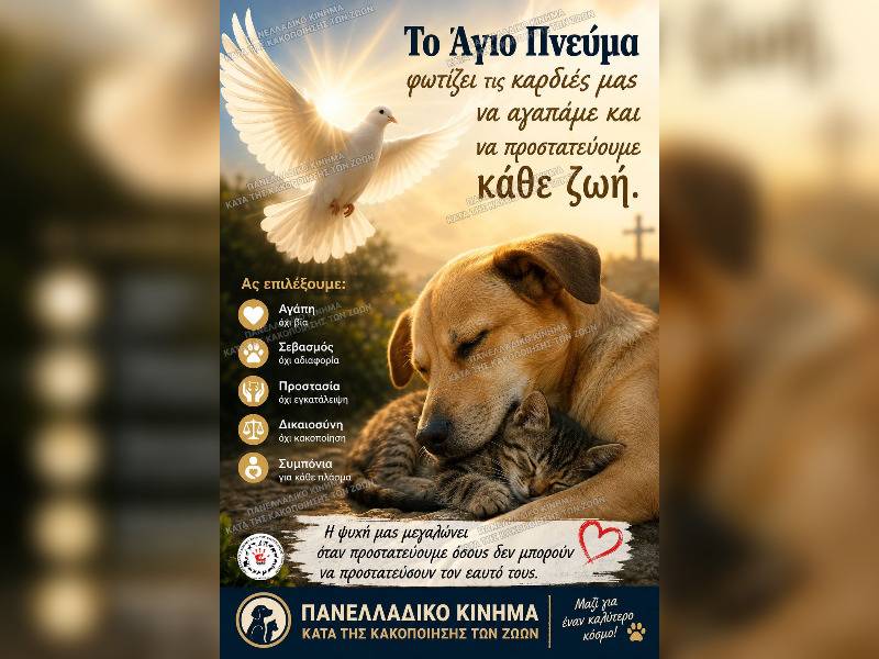 Κακοποίηση ζώων και ακτιβισμός - Η αδέσμευτη φωνή των τετράποδων