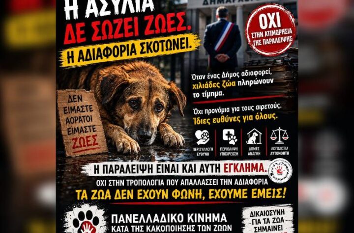 Κακοποίηση ζώων και ακτιβισμός - Η αδέσμευτη φωνή των τετράποδων