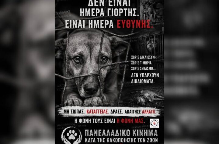 Κακοποίηση ζώων και ακτιβισμός - Η αδέσμευτη φωνή των τετράποδων