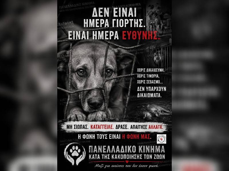 Κακοποίηση ζώων και ακτιβισμός - Η αδέσμευτη φωνή των τετράποδων