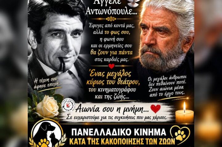 Κακοποίηση ζώων και ακτιβισμός - Η αδέσμευτη φωνή των τετράποδων