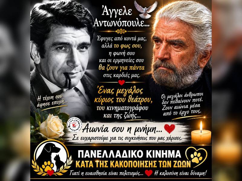 Κακοποίηση ζώων και ακτιβισμός - Η αδέσμευτη φωνή των τετράποδων