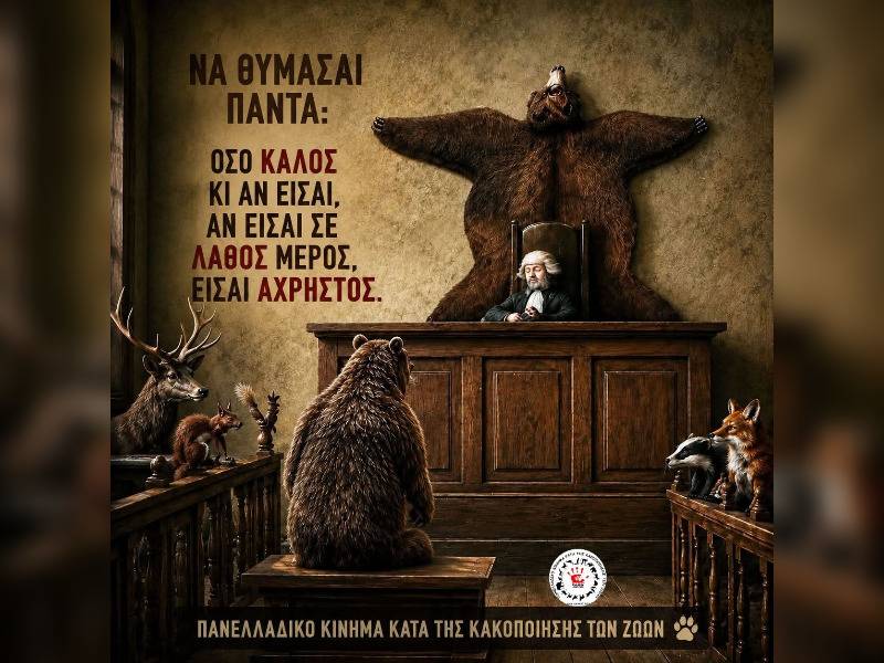 Κακοποίηση ζώων και ακτιβισμός - Η αδέσμευτη φωνή των τετράποδων