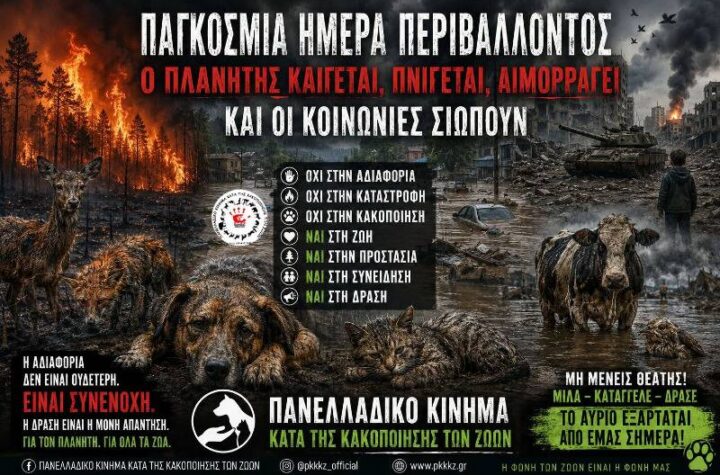 Κακοποίηση ζώων και ακτιβισμός - Η αδέσμευτη φωνή των τετράποδων
