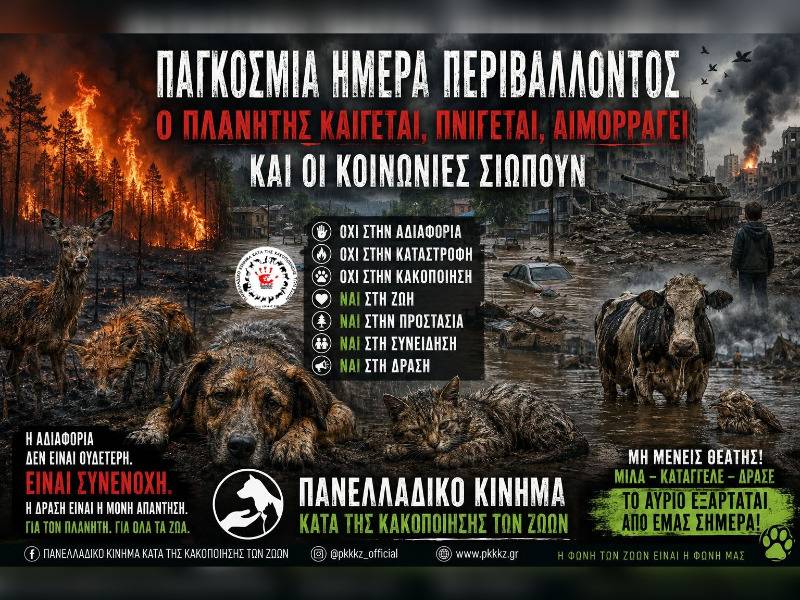 Κακοποίηση ζώων και ακτιβισμός - Η αδέσμευτη φωνή των τετράποδων