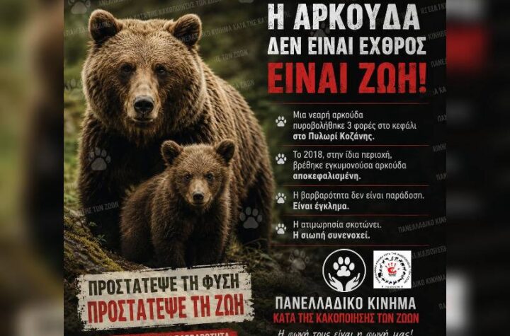 Κακοποίηση ζώων και ακτιβισμός - Η αδέσμευτη φωνή των τετράποδων