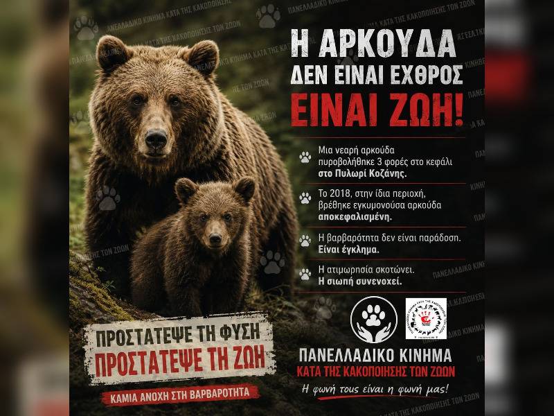 Κακοποίηση ζώων και ακτιβισμός - Η αδέσμευτη φωνή των τετράποδων