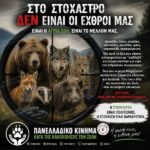 Κακοποίηση ζώων και ακτιβισμός - Η αδέσμευτη φωνή των τετράποδων