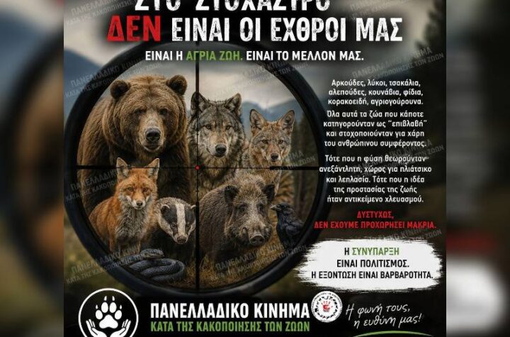 Κακοποίηση ζώων και ακτιβισμός - Η αδέσμευτη φωνή των τετράποδων