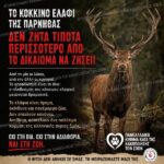 Κακοποίηση ζώων και ακτιβισμός - Η αδέσμευτη φωνή των τετράποδων