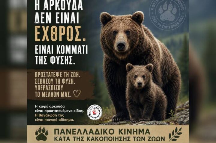 Κακοποίηση ζώων και ακτιβισμός - Η αδέσμευτη φωνή των τετράποδων