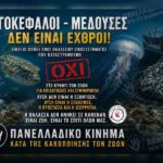 Κακοποίηση ζώων και ακτιβισμός - Η αδέσμευτη φωνή των τετράποδων