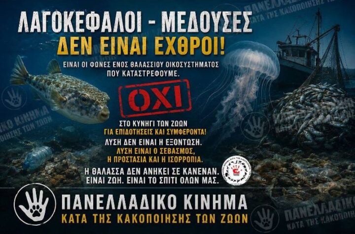 Κακοποίηση ζώων και ακτιβισμός - Η αδέσμευτη φωνή των τετράποδων