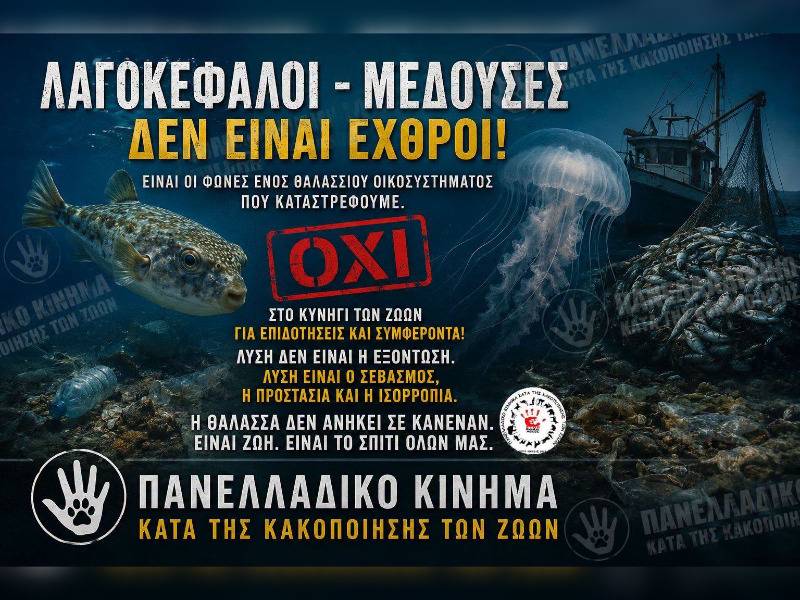 Κακοποίηση ζώων και ακτιβισμός - Η αδέσμευτη φωνή των τετράποδων