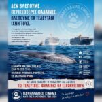 Κακοποίηση ζώων και ακτιβισμός - Η αδέσμευτη φωνή των τετράποδων