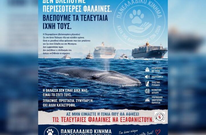 Κακοποίηση ζώων και ακτιβισμός - Η αδέσμευτη φωνή των τετράποδων