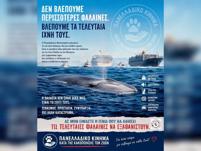 Κακοποίηση ζώων και ακτιβισμός - Η αδέσμευτη φωνή των τετράποδων
