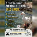 Κακοποίηση ζώων και ακτιβισμός - Η αδέσμευτη φωνή των τετράποδων