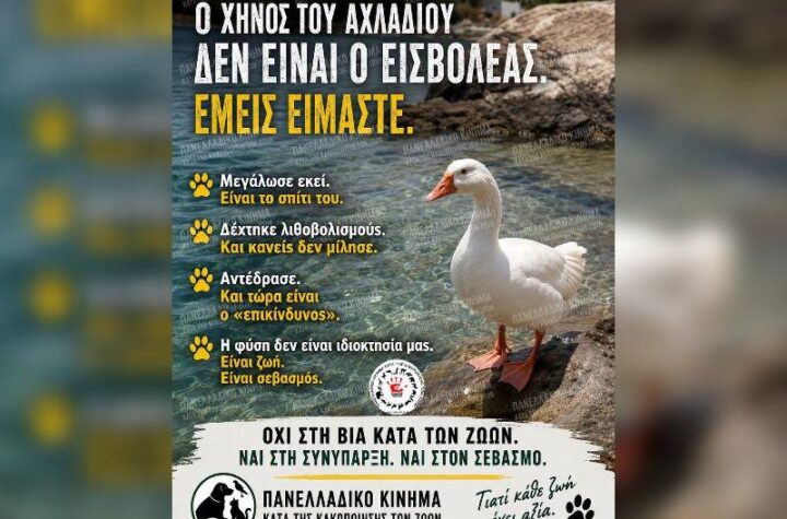 Κακοποίηση ζώων και ακτιβισμός - Η αδέσμευτη φωνή των τετράποδων