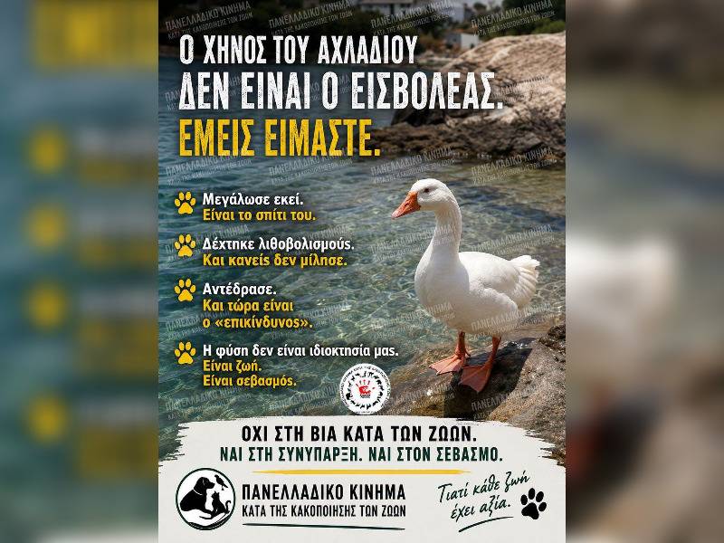 Κακοποίηση ζώων και ακτιβισμός - Η αδέσμευτη φωνή των τετράποδων