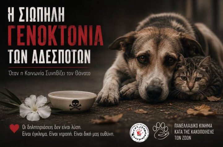Κακοποίηση ζώων και ακτιβισμός - Η αδέσμευτη φωνή των τετράποδων