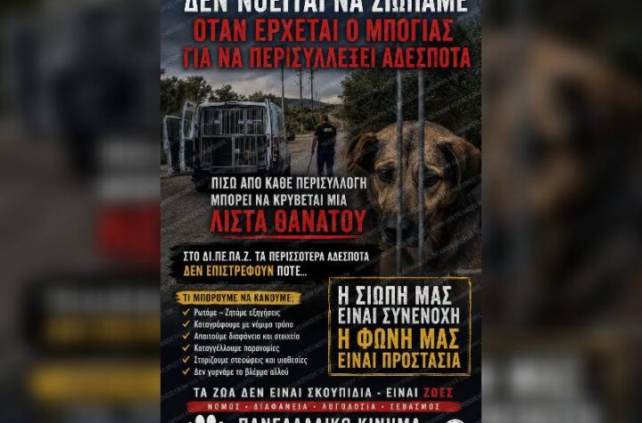 Κακοποίηση ζώων και ακτιβισμός - Η αδέσμευτη φωνή των τετράποδων