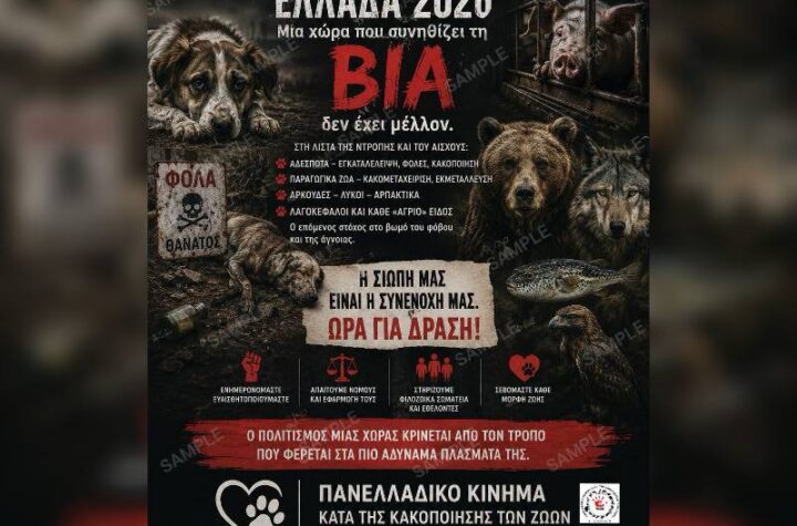 Κακοποίηση ζώων και ακτιβισμός - Η αδέσμευτη φωνή των τετράποδων