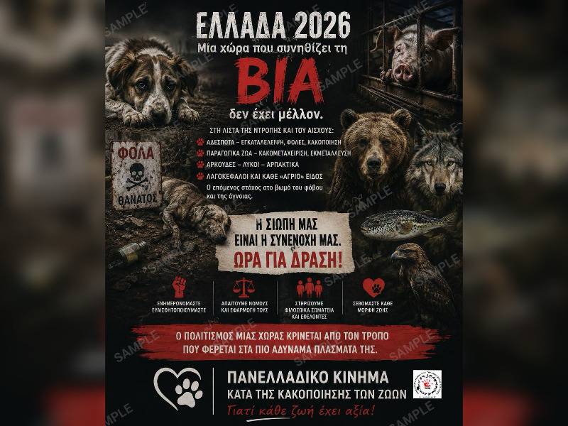 Κακοποίηση ζώων και ακτιβισμός - Η αδέσμευτη φωνή των τετράποδων
