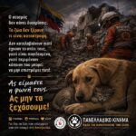 Κακοποίηση ζώων και ακτιβισμός - Η αδέσμευτη φωνή των τετράποδων
