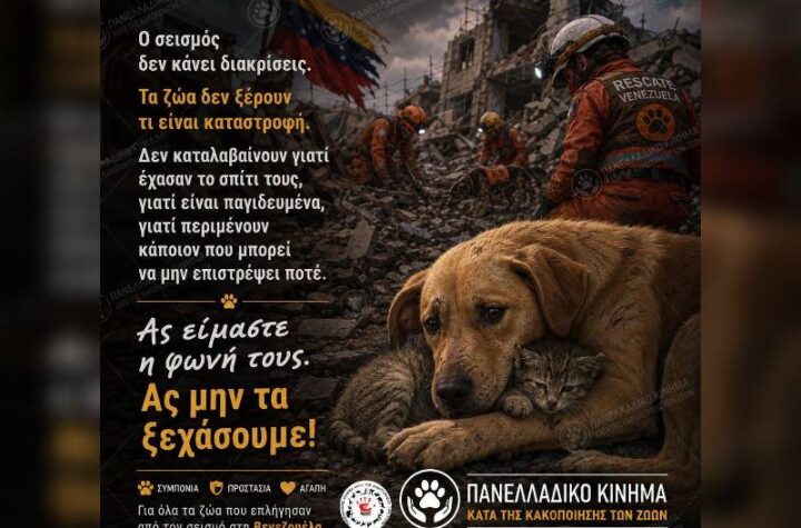 Κακοποίηση ζώων και ακτιβισμός - Η αδέσμευτη φωνή των τετράποδων