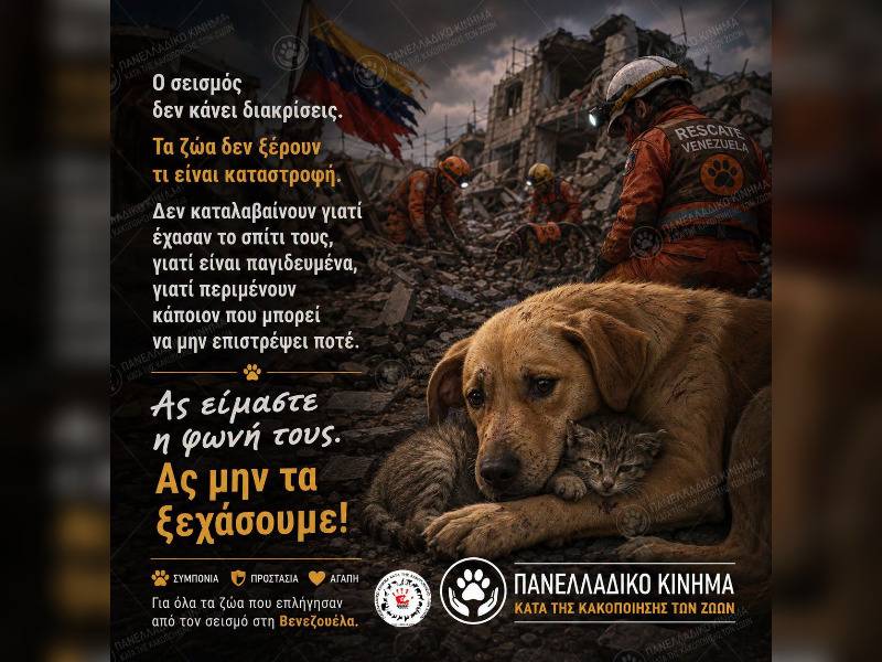 Κακοποίηση ζώων και ακτιβισμός - Η αδέσμευτη φωνή των τετράποδων
