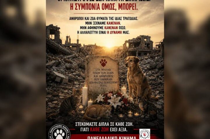 Κακοποίηση ζώων και ακτιβισμός - Η αδέσμευτη φωνή των τετράποδων