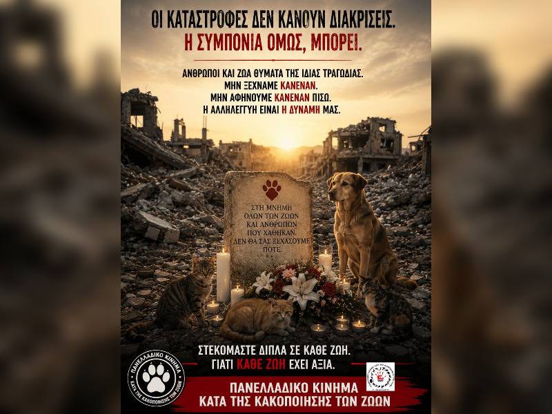 Κακοποίηση ζώων και ακτιβισμός - Η αδέσμευτη φωνή των τετράποδων