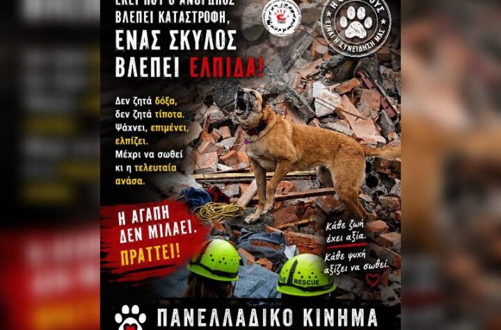 Κακοποίηση ζώων και ακτιβισμός - Η αδέσμευτη φωνή των τετράποδων