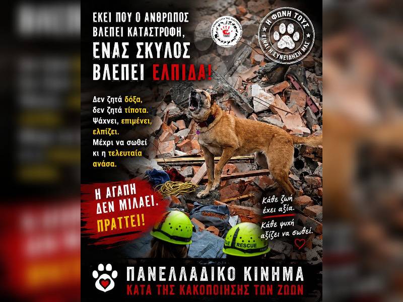 Κακοποίηση ζώων και ακτιβισμός - Η αδέσμευτη φωνή των τετράποδων
