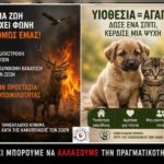Κακοποίηση ζώων και ακτιβισμός - Η αδέσμευτη φωνή των τετράποδων