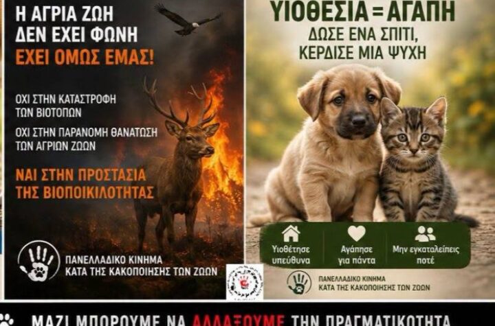 Κακοποίηση ζώων και ακτιβισμός - Η αδέσμευτη φωνή των τετράποδων
