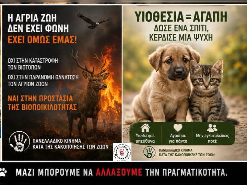 Κακοποίηση ζώων και ακτιβισμός - Η αδέσμευτη φωνή των τετράποδων