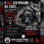 Κακοποίηση ζώων και ακτιβισμός - Η αδέσμευτη φωνή των τετράποδων