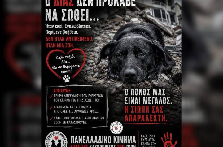 Κακοποίηση ζώων και ακτιβισμός - Η αδέσμευτη φωνή των τετράποδων